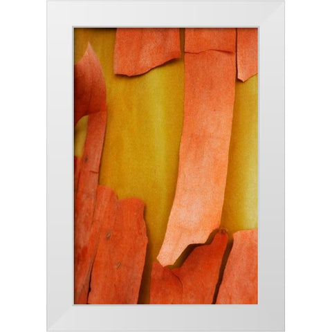 Madrone Mosaic I White Modern Wood Framed Art Print by Geyman, Vitaly