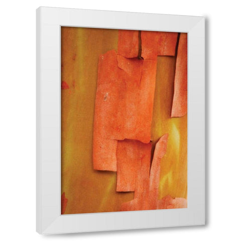 Madrone Mosaic II White Modern Wood Framed Art Print by Geyman, Vitaly