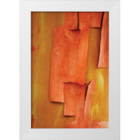 Madrone Mosaic II White Modern Wood Framed Art Print by Geyman, Vitaly