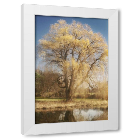 Willow Magic I White Modern Wood Framed Art Print by Vitaly, Geyman