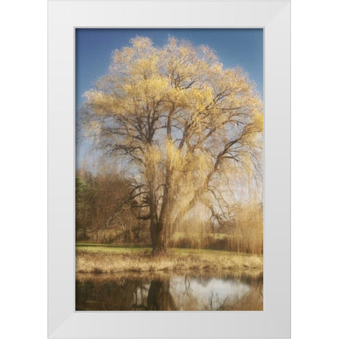 Willow Magic I White Modern Wood Framed Art Print by Vitaly, Geyman