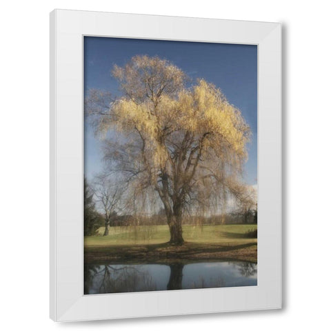 Willow Magic II White Modern Wood Framed Art Print by Vitaly, Geyman