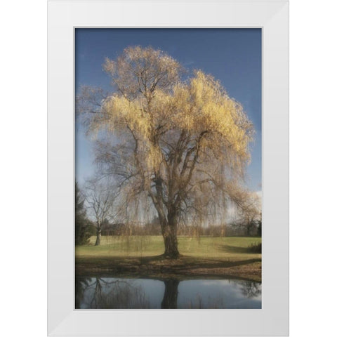Willow Magic II White Modern Wood Framed Art Print by Vitaly, Geyman