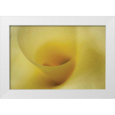 Tender Moments I White Modern Wood Framed Art Print by Geyman, Vitaly