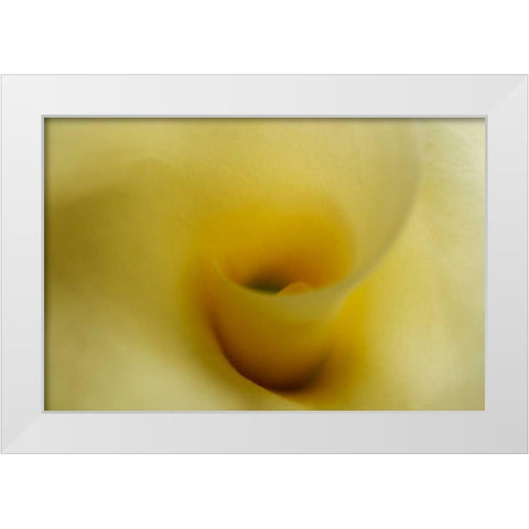 Tender Moments II White Modern Wood Framed Art Print by Geyman, Vitaly