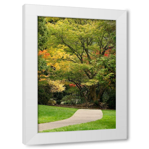 Fall Colors III White Modern Wood Framed Art Print by Geyman, Vitaly