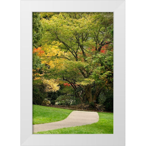 Fall Colors III White Modern Wood Framed Art Print by Geyman, Vitaly