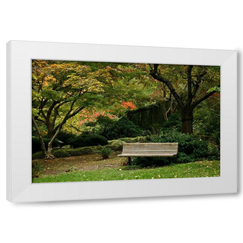 Fall Colors IV White Modern Wood Framed Art Print by Geyman, Vitaly