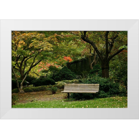 Fall Colors IV White Modern Wood Framed Art Print by Geyman, Vitaly
