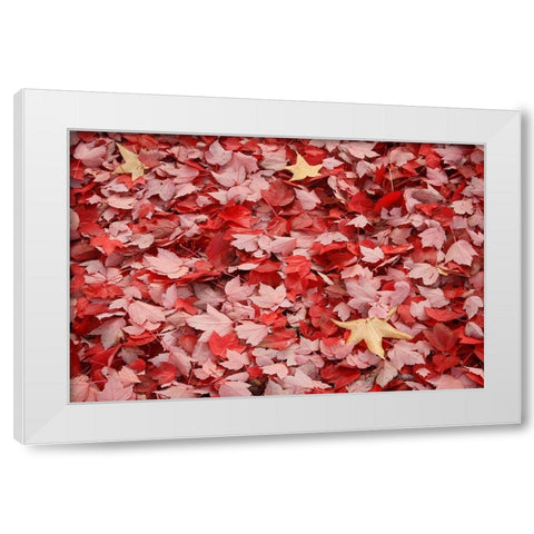 Red Carpet II White Modern Wood Framed Art Print by Geyman, Vitaly