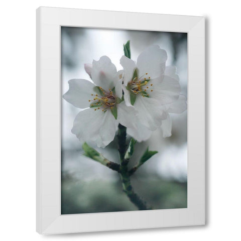 Spring Blossoms II White Modern Wood Framed Art Print by Geyman, Vitaly