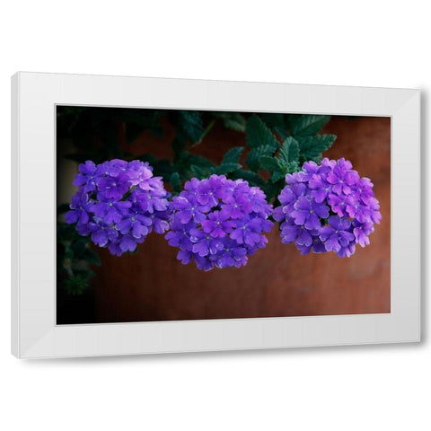 Tri Floral Bouquet White Modern Wood Framed Art Print by Geyman, Vitaly