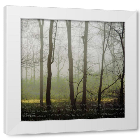 Partners IV White Modern Wood Framed Art Print by Studio 2