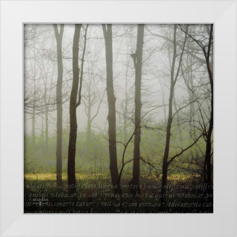 Partners IV White Modern Wood Framed Art Print by Studio 2