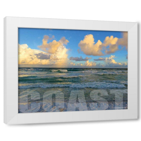 Florida Coast White Modern Wood Framed Art Print by Williams, Todd