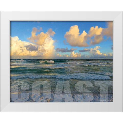 Florida Coast White Modern Wood Framed Art Print by Williams, Todd