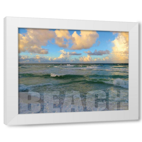 Florida Beach White Modern Wood Framed Art Print by Williams, Todd