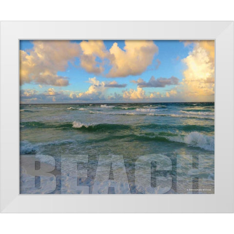 Florida Beach White Modern Wood Framed Art Print by Williams, Todd