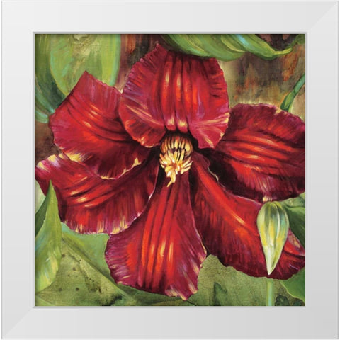 Rosa Odorada White Modern Wood Framed Art Print by Werbelow, Selina