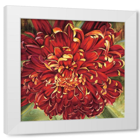 Chrysanthemum White Modern Wood Framed Art Print by Werbelow, Selina