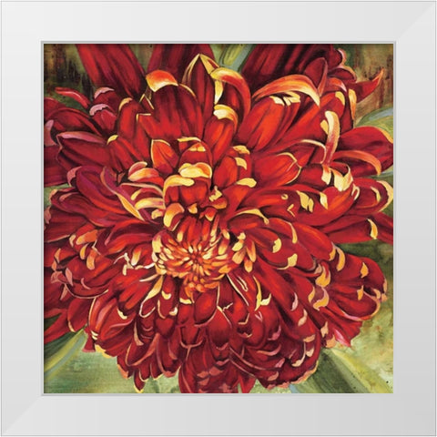 Chrysanthemum White Modern Wood Framed Art Print by Werbelow, Selina