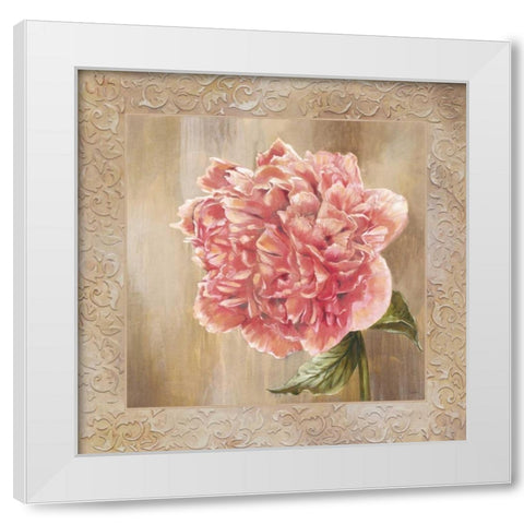 Pivoines II White Modern Wood Framed Art Print by Werbelow, Selina
