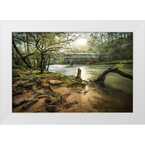 Swann Bridge VI White Modern Wood Framed Art Print by Head, Danny