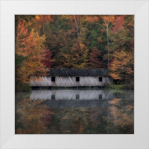Reflections I White Modern Wood Framed Art Print by Head, Danny
