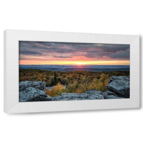 Yellow Dawn I White Modern Wood Framed Art Print by Head, Danny