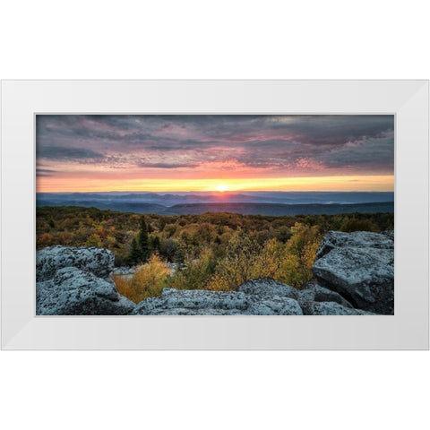 Yellow Dawn I White Modern Wood Framed Art Print by Head, Danny