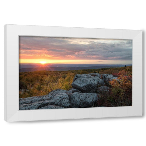 Yellow Dawn II White Modern Wood Framed Art Print by Head, Danny