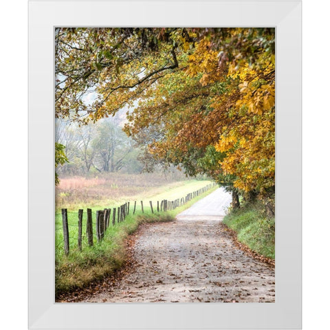 Cove lane II White Modern Wood Framed Art Print by Head, Danny