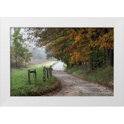 Cove Lane III White Modern Wood Framed Art Print by Head, Danny
