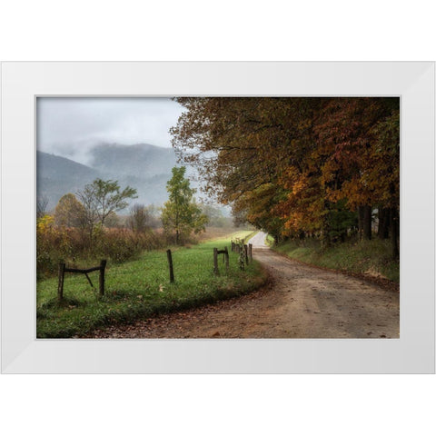 Cove Lane IV White Modern Wood Framed Art Print by Head, Danny
