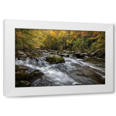 Autumn at Tremont III White Modern Wood Framed Art Print by Head, Danny