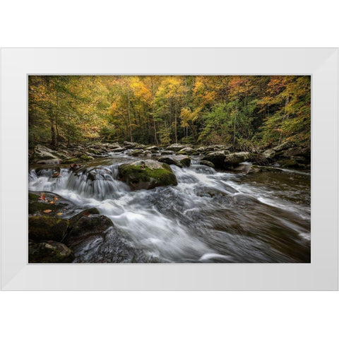 Autumn at Tremont III White Modern Wood Framed Art Print by Head, Danny