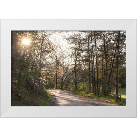 Sunburst White Modern Wood Framed Art Print by Head, Danny