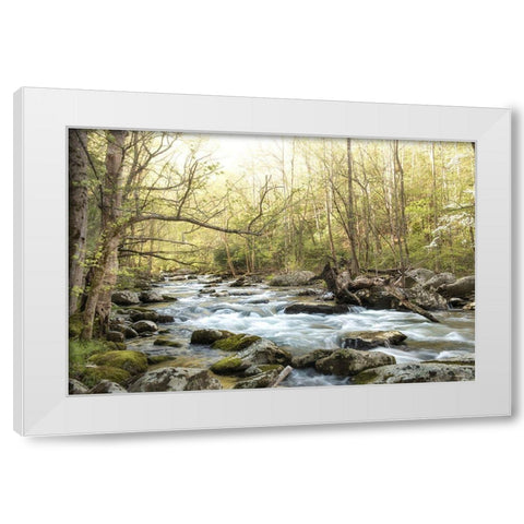 Bliss White Modern Wood Framed Art Print by Head, Danny