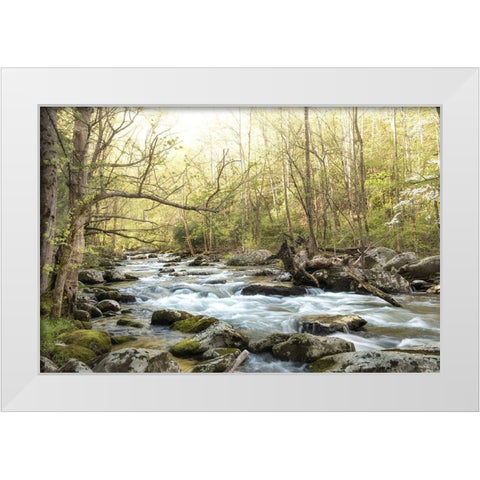 Bliss White Modern Wood Framed Art Print by Head, Danny