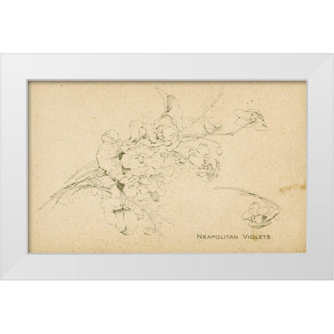 Neapolitan Violets White Modern Wood Framed Art Print by Art Licensing Studio