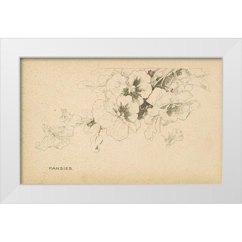 Pansies White Modern Wood Framed Art Print by Art Licensing Studio