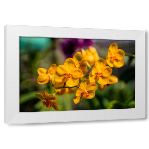 Thailand - 85 White Modern Wood Framed Art Print by Heine, Ben