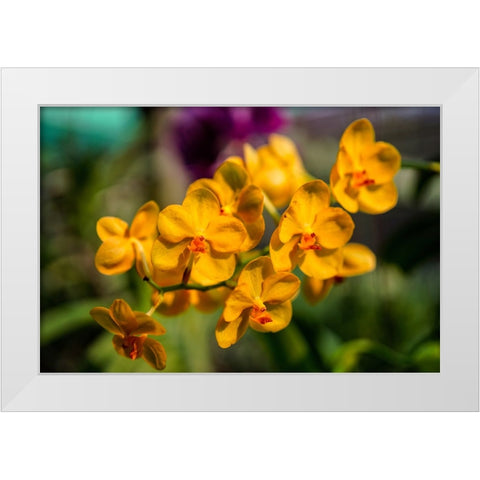 Thailand - 85 White Modern Wood Framed Art Print by Heine, Ben