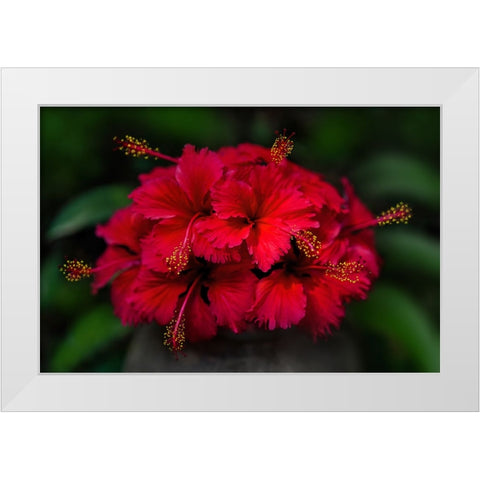 Thailand - 165 White Modern Wood Framed Art Print by Heine, Ben