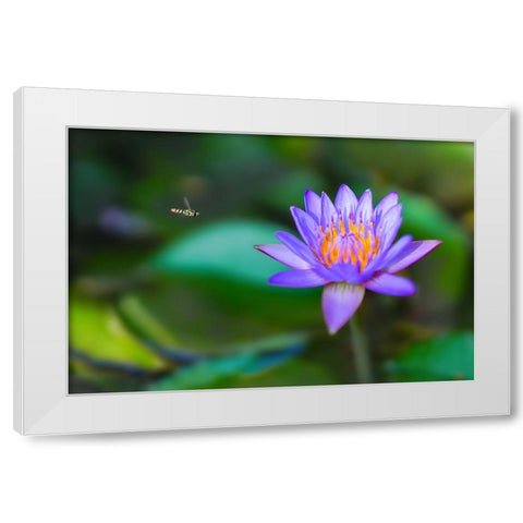 Thailand 2 - 214 White Modern Wood Framed Art Print by Heine, Ben