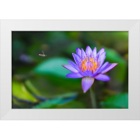 Thailand 2 - 214 White Modern Wood Framed Art Print by Heine, Ben