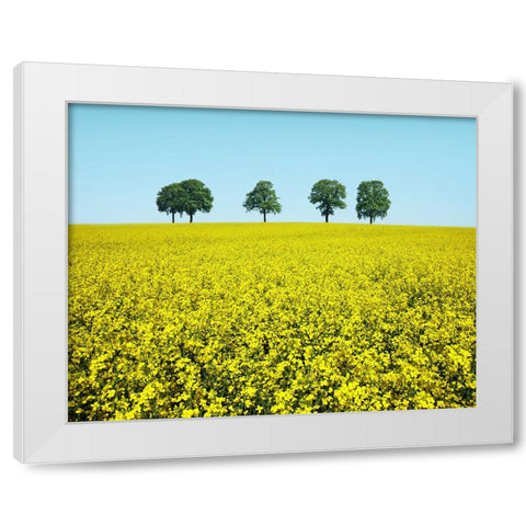 Brothers White Modern Wood Framed Art Print by Heine, Ben