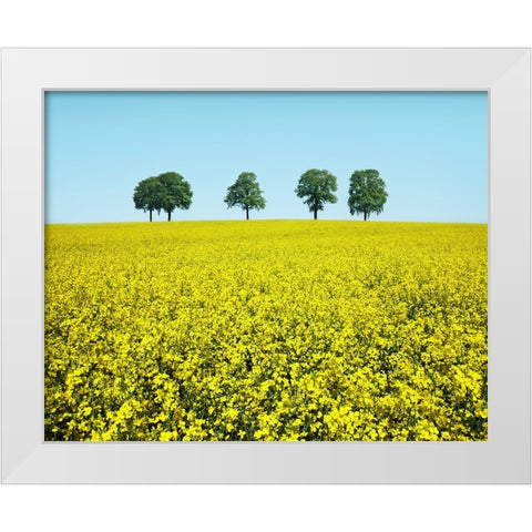 Brothers White Modern Wood Framed Art Print by Heine, Ben