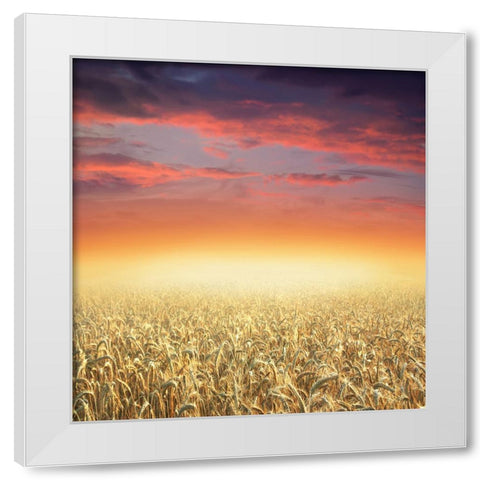 Glowing White Modern Wood Framed Art Print by Heine, Ben