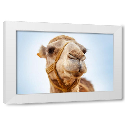 Tunisia 28 White Modern Wood Framed Art Print by Heine, Ben